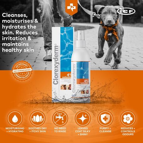 Clorexyderm 4%-os oldat, fertőtlenítőszer