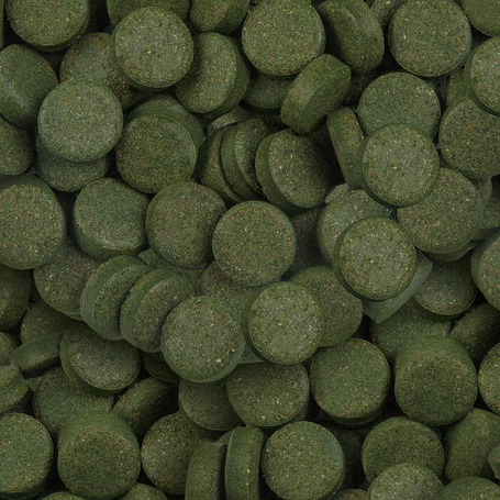 Sera Spirulina Tabs tápláléktabletta díszhalaknak