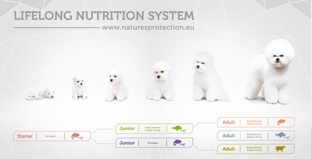 Nature's Protection White Dogs GF Junior Small & Mini White Fish