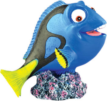Happet Senilla, decor acvariu
