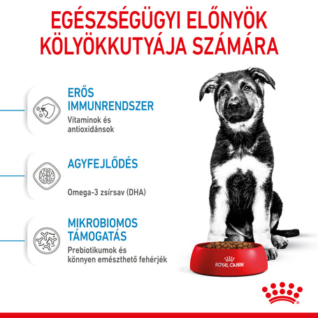 Royal Canin Maxi Puppy
