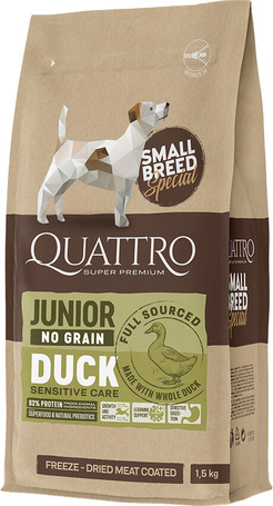 Quattro Small Junior Duck