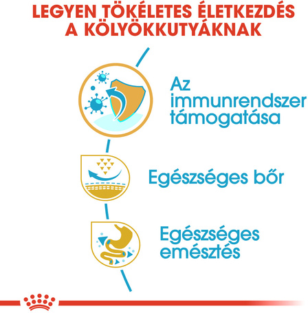 Royal Canin Pug Junior - Mopsz kölyök kutya száraz táp