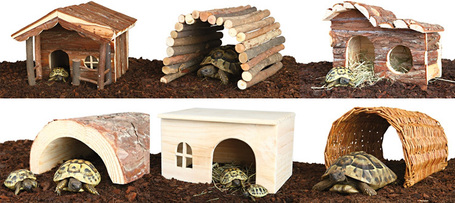 Kültéri élőhely és menedék szárazföldi teknősöknek