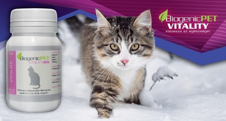 BiogenicPET Vitality Cat