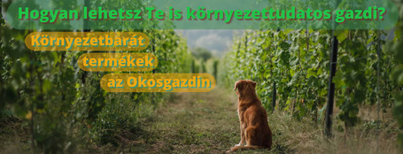 Környezetbarát termékek kutyáknak és egyéb kedvenceknek - Hogyan lehetsz Te is környezettudatos gazdi?