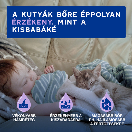 Douxo Spa lemosást nem igénylő hab macskáknak