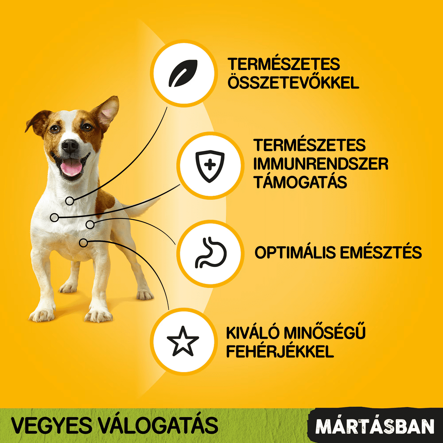 Pedigree Megapack Mixed Selection - Szószban - 40 x 100 g