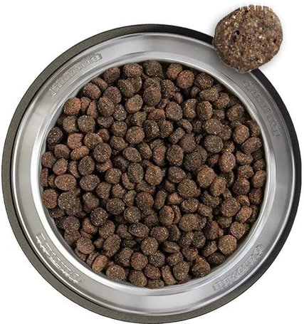 Belcando Baseline Explorer - Kis és közepes testű kutyák számára