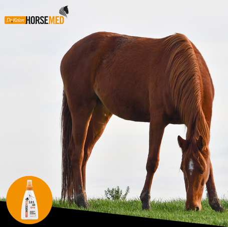 Horsemed SOS sebápoló spray lovaknak