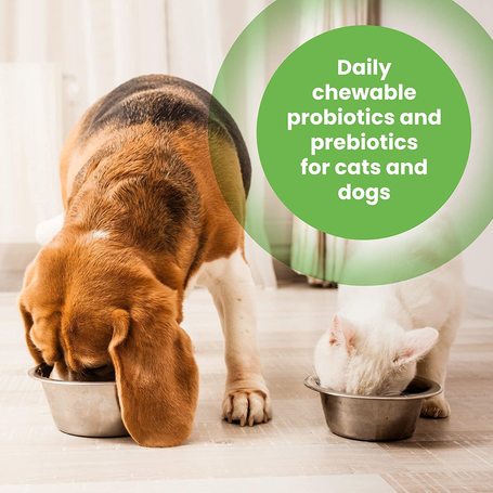Protexin Pro-Balance probiotikus és prebiotikus rágótabletta kutyáknak és macskáknak