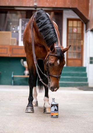 Equistro Haemolytan 400