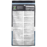 Leonardo GF Kitten #5