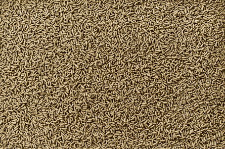 Tetra ReptoMin Baby pálcikás táp fiatal víziteknősöknek