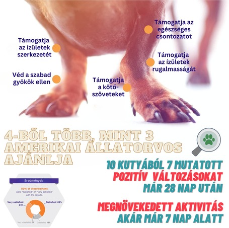 Movoflex ízületvédő rágótabletta