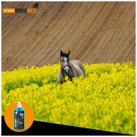 Horsemed Ice Gél gyógyhatású jéggél lovaknak #5