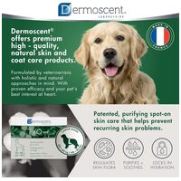 Dermoscent PYOspot kutyáknak #4