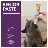 Gimcat Senior paszta 7+ idősödő macskáknak #3