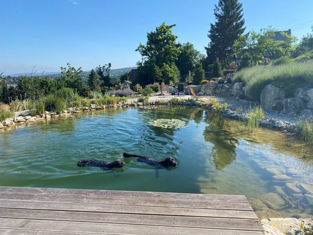Greenman Pond tóápoló és algagátló