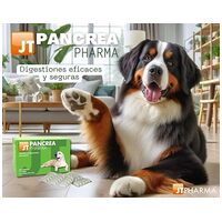 JT Pancrea Pharma tabletta #2
