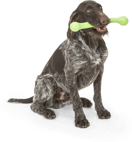 West Paw Zwig apport