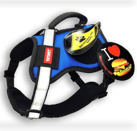 Yutipet RnD párnázott biztonsági kutyahám (Kék)