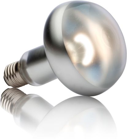 Exo Terra Intense Basking Spot pont megvilágító izzó sütkérezéshez