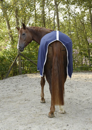 Covalliero RugBe Economic polár lótakaró