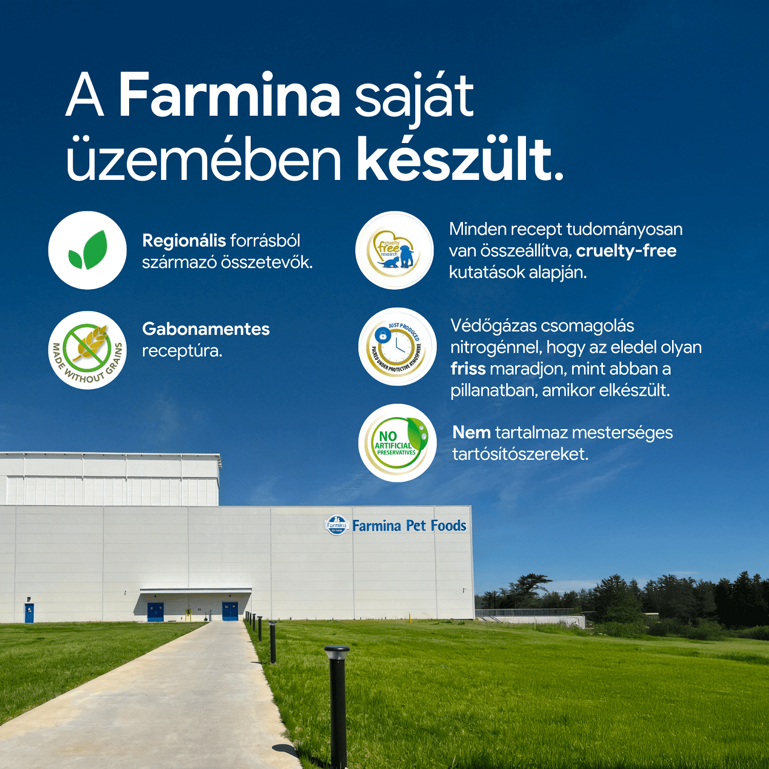 N&D Cat Grain Free Quinoa Skin & Coat Quail – Bőr- és szőrproblémákra