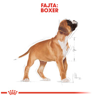 Royal Canin Boxer Junior - Boxer kölyök kutya száraz táp #2