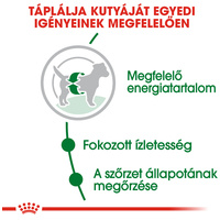 Royal Canin Mini Adult - Kistestű felnőtt kutya száraz táp #5