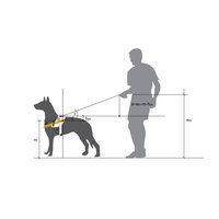 Julius-K9 IDC fekete kutyahám #10