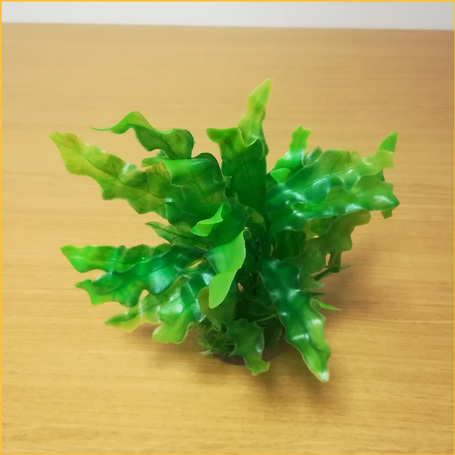 Akváriumi palás műnövény hosszú hullámos levelekkel