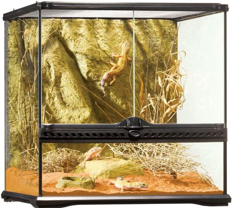 Exo Terra kis méretű üveg terrárium