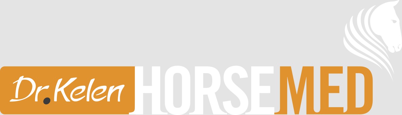 Horsemed logo small