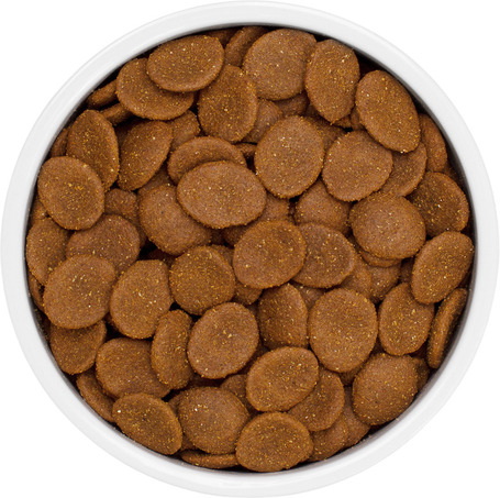 Eminent Selection Adult Large Breed Pork & Duck Gluten Free