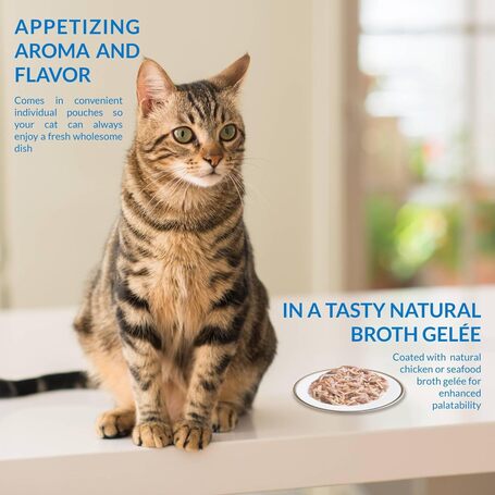 Inaba Cat Twin Packs Tuna & Chicken Recipe