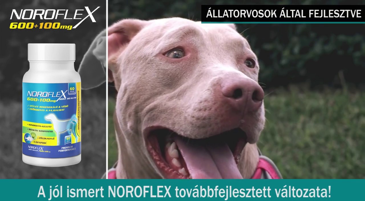 Noroflex tablete pentru câini - zoom