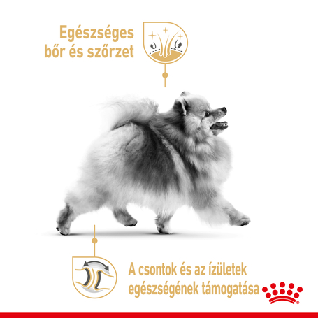 Royal Canin Pomeranian Adult - Pomerániai törpespicc felnőtt kutya nedves táp