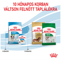 Royal Canin Mini Puppy - Kistestű kölyök kutya száraz táp #7