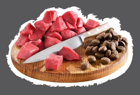 Belcando Finest Grain-Free Lamb | Táp válogatós, gabonára érzékeny kutyáknak | Kis- és közepes testméretű fajtáknak