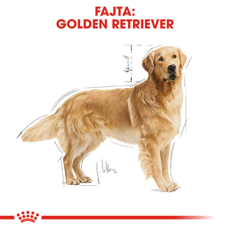 Royal Canin Golden Retriver Adult - Golden Retriever felnőtt kutya száraz táp
