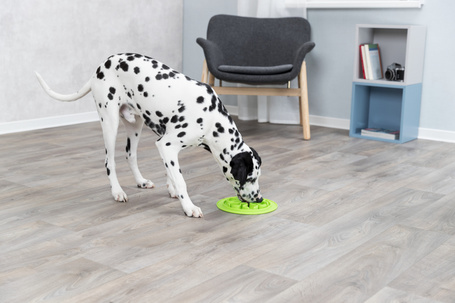 Trixie evéslassító etetőtálca