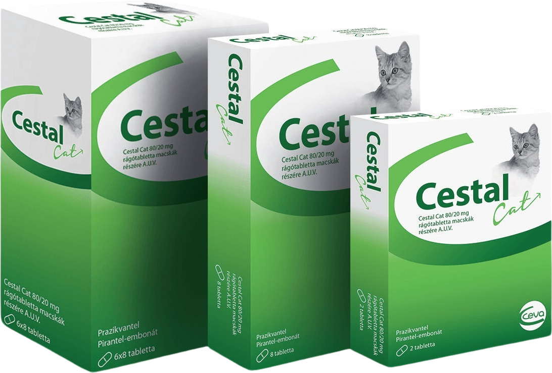 Cestal Cat 80/20 pt viermi intestinali pisici