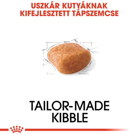 Royal Canin Poodle Adult - Uszkár felnőtt kutya száraz táp