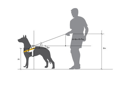 Julius-K9 IDC fekete kutyahám