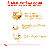 Royal Canin Jack Russel Terrier Adult - Jack Russell Terrier felnőtt kutya száraz táp #4