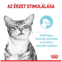 Royal Canin Sensory Feel Gravy - Szószos felnőtt macska nedves táp fokozott érzék hatással #2