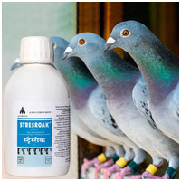 Stresroak stressz elleni, immunerősítő itatófolyadék #10