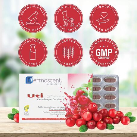 Dermoscent Uti-Zen kutyáknak és macskáknak